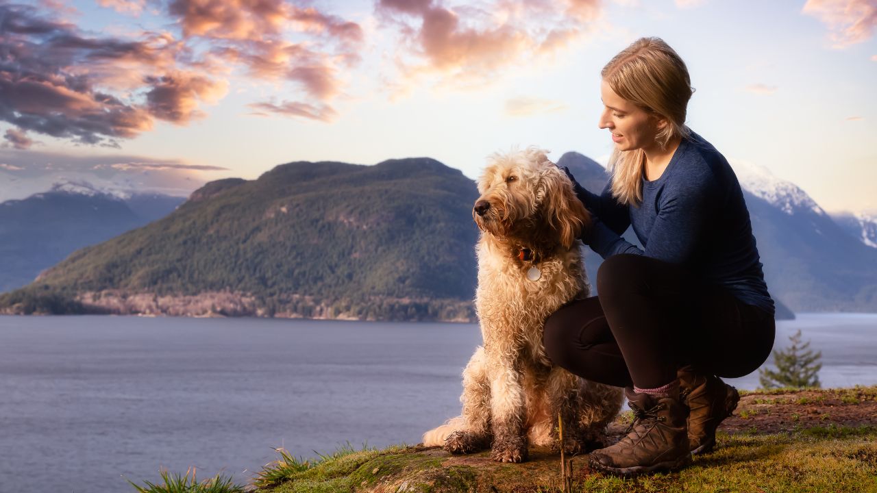 Mastering Dog Training